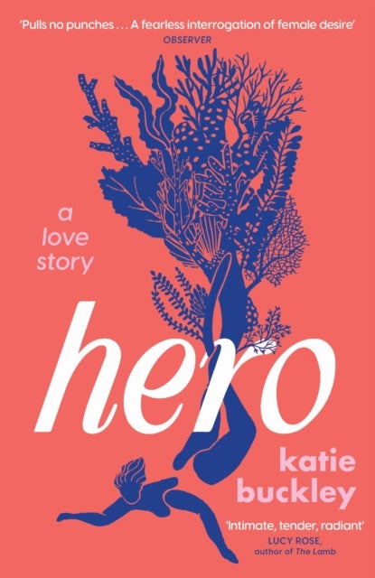 Hero - A fierce and captivating literary love story for 2025