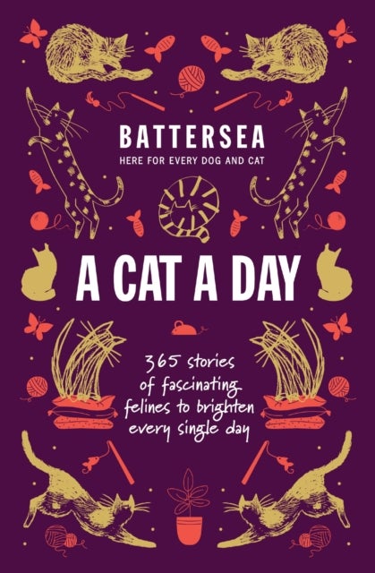 Battersea Dogs and Cats Home - A Cat a Day - 365 stories of fascinating felines to brighten every day