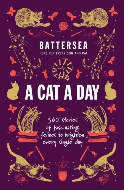 Battersea Dogs and Cats Home - A Cat a Day