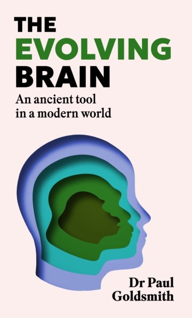 The Evolving Brain - How to Thrive in a World We Weren't Made For