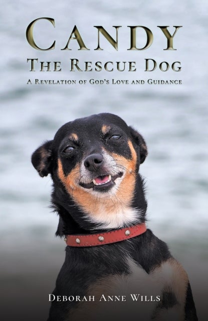 Candy the Rescue Dog - A Revelation of God’s Love and Guidance