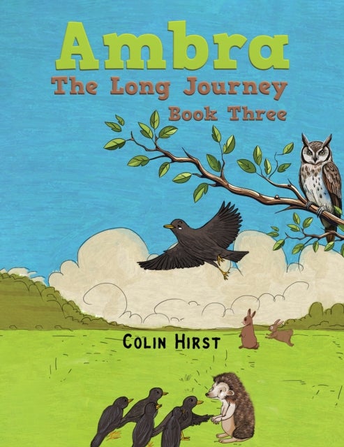Ambra: The Long Journey - Book Three
