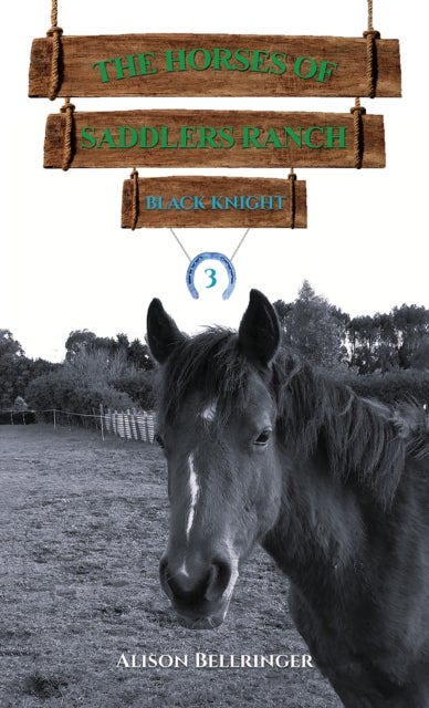 The Horses of Saddlers Ranch: Black Knight - Book Three