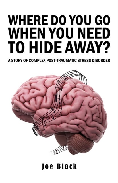Where Do You Go When You Need to Hide Away? - A Story of Complex Post-Traumatic Stress Disorder
