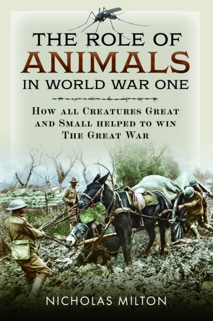 The Role of Animals in World War One - How all Creatures Great and Small helped to win the Great War