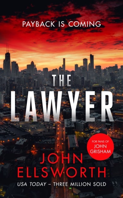 The Lawyer - A Legal Thriller