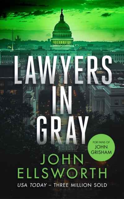 Lawyers in Gray - A Legal Thriller