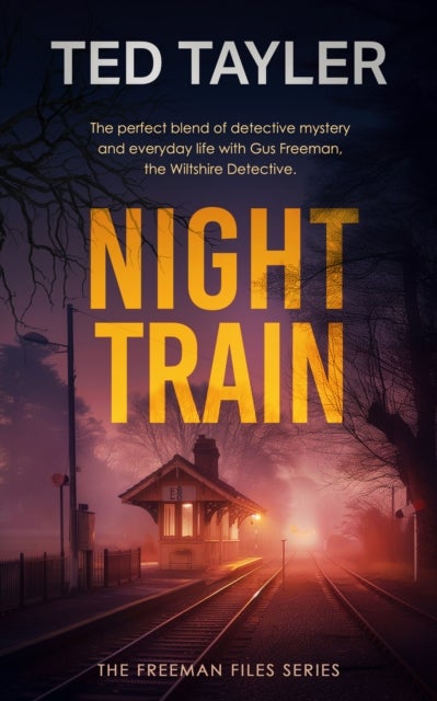 Night Train - A Cold Case Murder Mystery Series