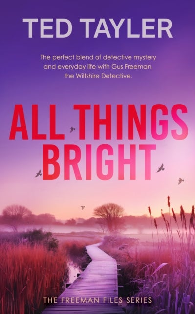 All Things Bright - A Cold Case Murder Mystery Series