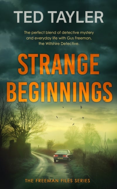 Strange Beginnings - A Cold Case Murder Mystery Series