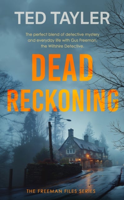 Dead Reckoning - A Cold Case Murder Mystery Series