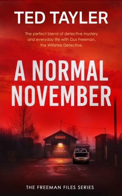 A Normal November - A Cold Case Murder Mystery Series