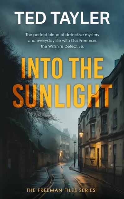 Into The Sunlight - A Cold Case Murder Mystery Series