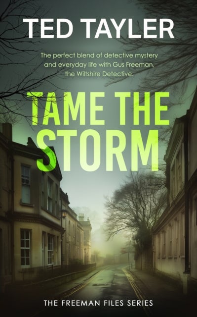 Tame The Storm - A Cold Case Murder Mystery Series