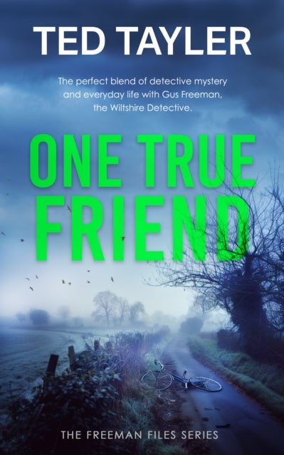 One True Friend - A Cold Case Murder Mystery Series