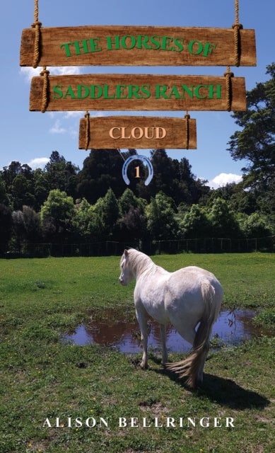 The Horses of Saddlers Ranch: Cloud - Book One