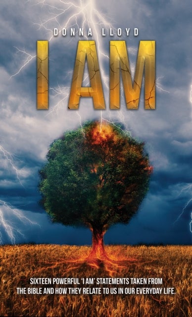 I Am - Sixteen powerful ‘I AM’ statements taken from the Bible and how they relate to us in our everyday