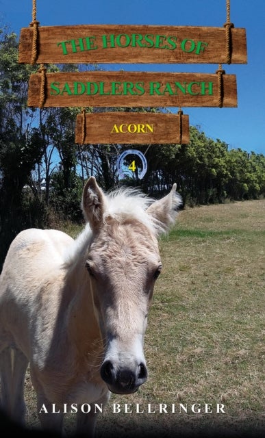 The Horses of Saddlers Ranch: Acorn - Book Four