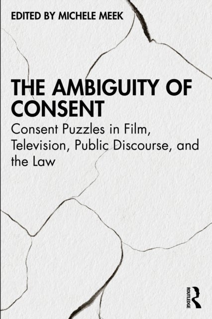 The Ambiguity of Consent - Consent Puzzles in Film, Television, Public Discourse, and the Law