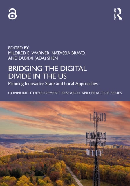 Bridging the Digital Divide in the US - Planning Innovative State and Local Approaches