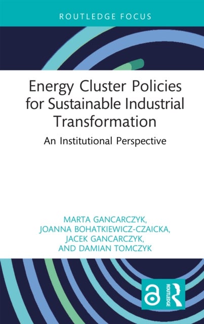 Energy Cluster Policies for Sustainable Industrial Transformation - An Institutional Perspective