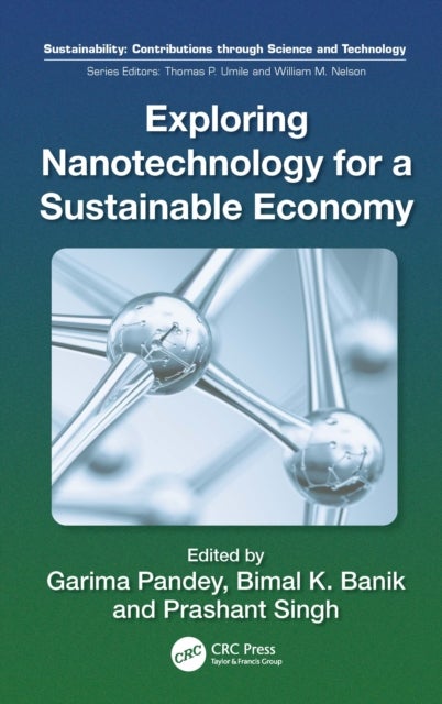 Exploring Nanotechnology for a Sustainable Economy
