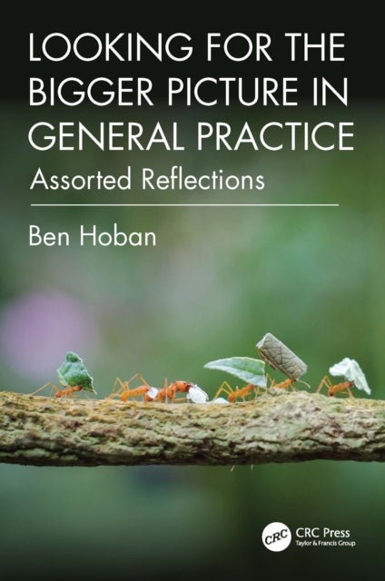 Looking for the Bigger Picture in General Practice - Assorted Reflections