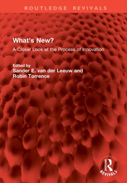 What’s New? - A Closer Look at the Process of Innovation