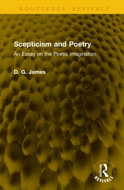 Scepticism and Poetry - An Essay on the Poetic Imagination