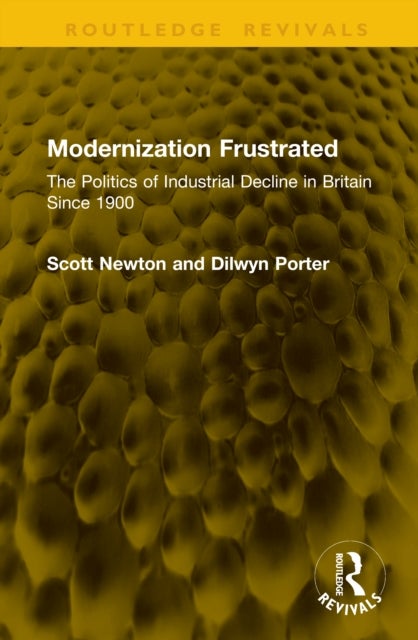 Modernization Frustrated - The Politics of Industrial Decline in Britain Since 1900