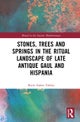 Stones, Trees and Springs in the Ritual Landscape of Late Antique Gaul and Hispania