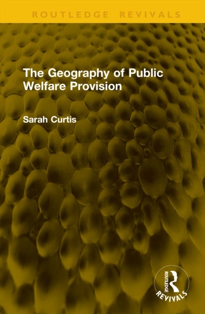 The Geography of Public Welfare Provision
