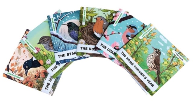 Enchanted Nature - Garden Birds Pack - Pack of Six Decodable Readers (Ages 5-7)