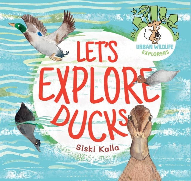 Let's Explore Ducks - An urban wildlife explorers book