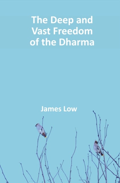 The Deep and Vast Freedom of the Dharma.