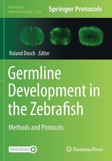 Germline Development in the Zebrafish - Methods and Protocols