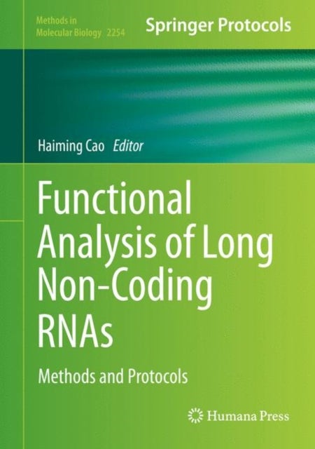 Functional Analysis of Long Non-Coding RNAs - Methods and Protocols