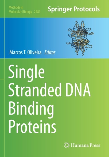 Single Stranded DNA Binding Proteins
