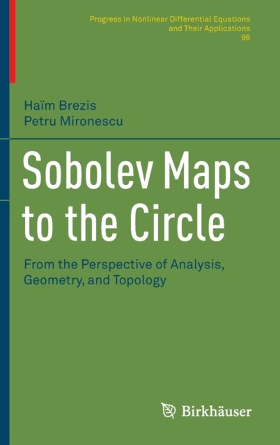 Sobolev Maps to the Circle - From the Perspective of Analysis, Geometry, and Topology