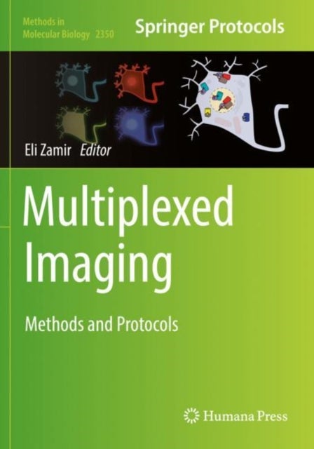 Multiplexed Imaging - Methods and Protocols