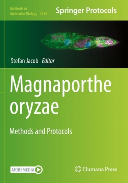 Magnaporthe oryzae - Methods and Protocols