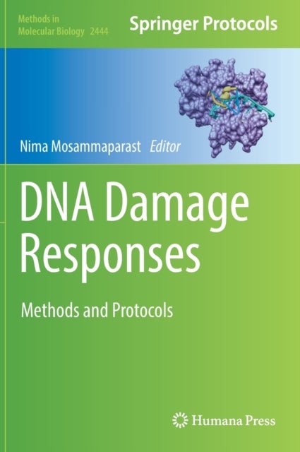 DNA Damage Responses - Methods and Protocols