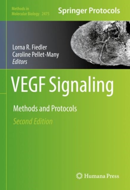 VEGF Signaling - Methods and Protocols