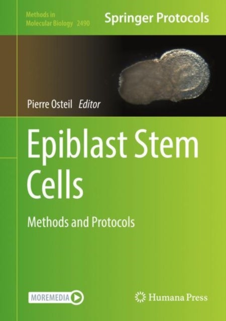 Epiblast Stem Cells - Methods and Protocols