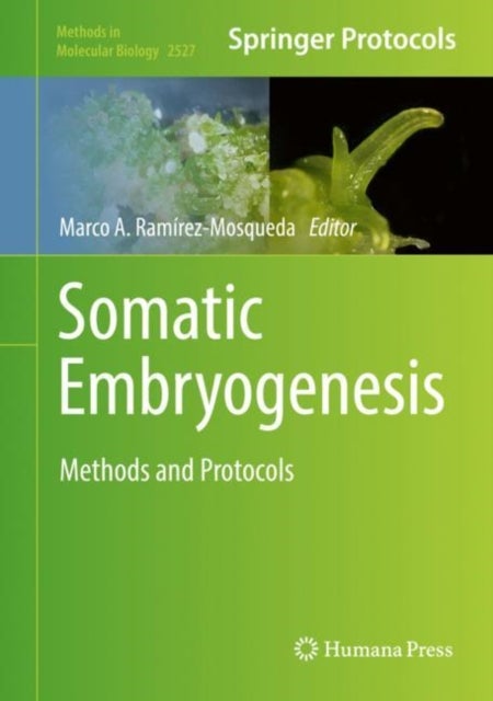 Somatic Embryogenesis - Methods and Protocols