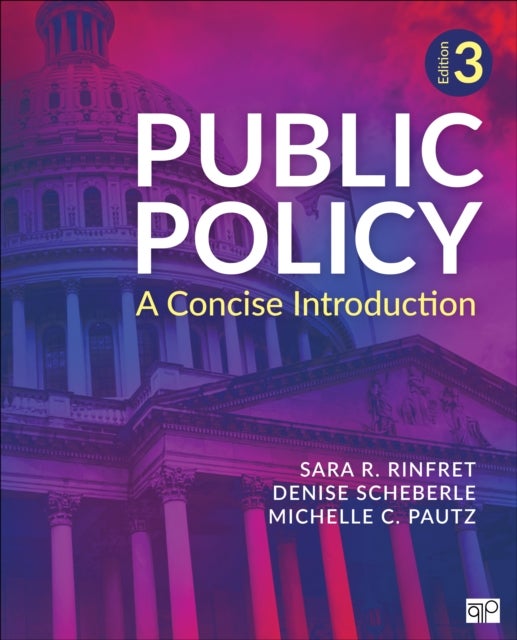 Public Policy - A Concise Introduction