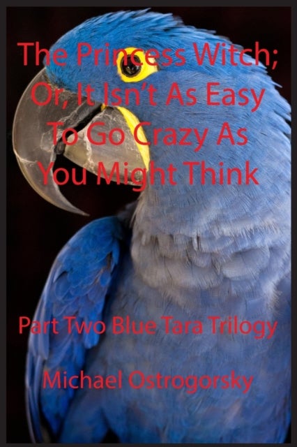 The Princess Witch - Or, It Isn't As Easy To Go Crazy As You Might Think