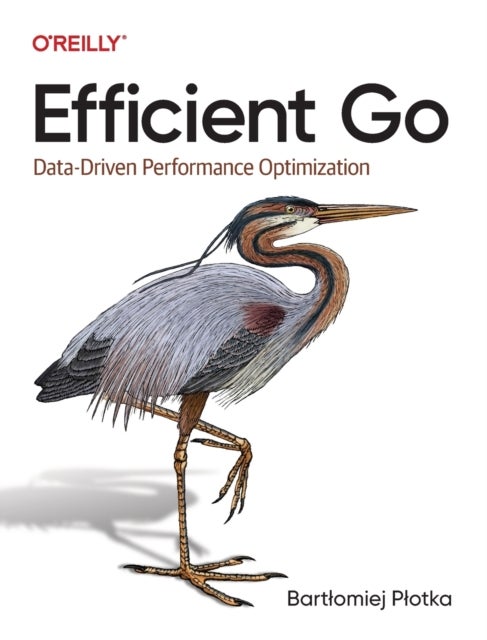 Efficient Go - Data-Driven Performance Optimization