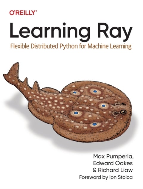 Learning Ray - Flexible Distributed Python for Machine Learning