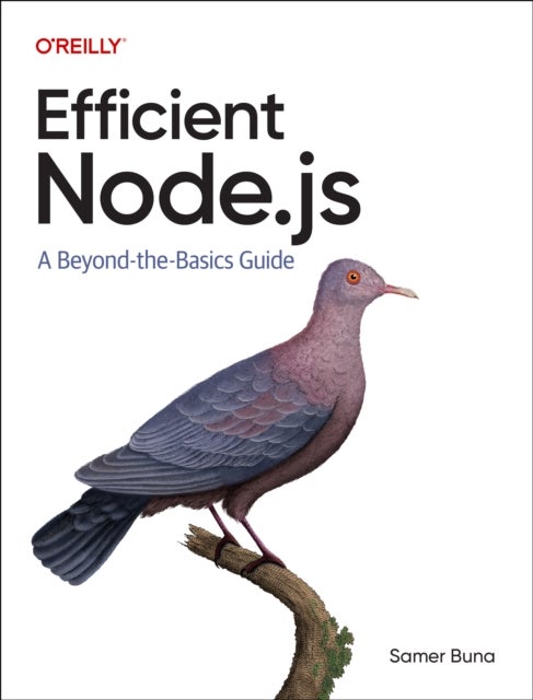 Efficient Node.js - A Beyond The Basics Guide
